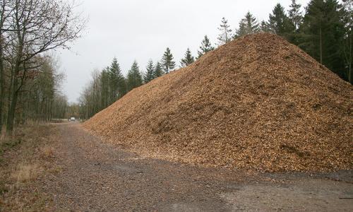 Biomasse i fjernvarmen